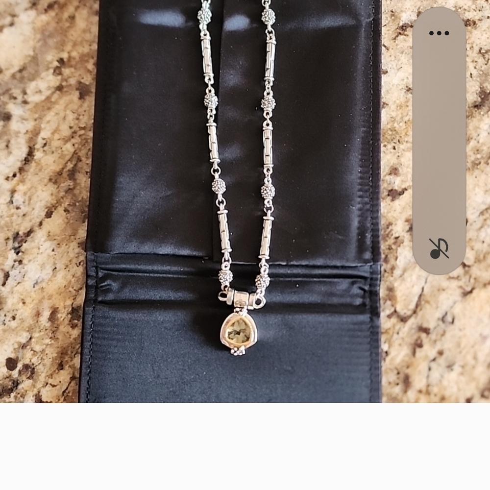 Elegant Silver Necklace with Gold Accents